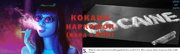 соль курить ск Заводоуковск