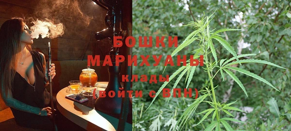 альфа пвп Заволжск