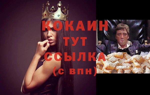 альфа пвп Заволжск